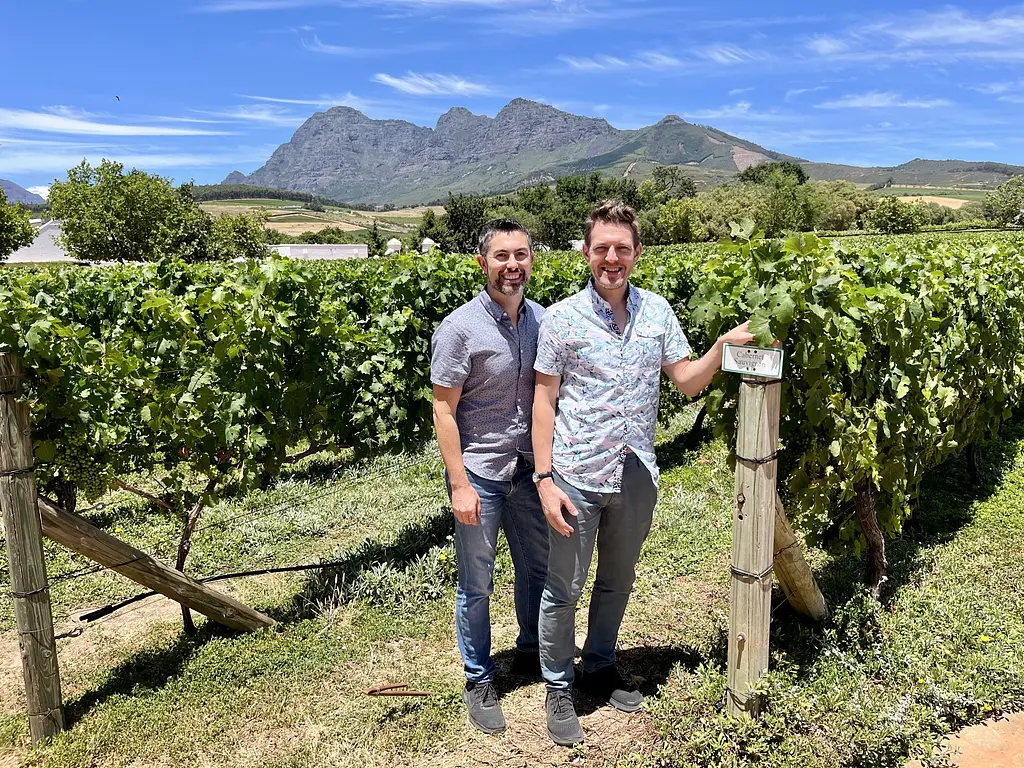 Two Gay Expats - Cape Town, South Africa - Gay Cape Town - Babylonstoren Wine Estate - Vineyard