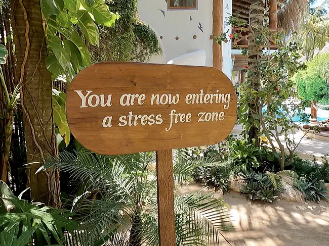 Stress Free Zone