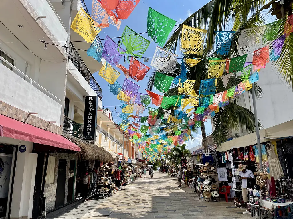 Colorful Street in Playa