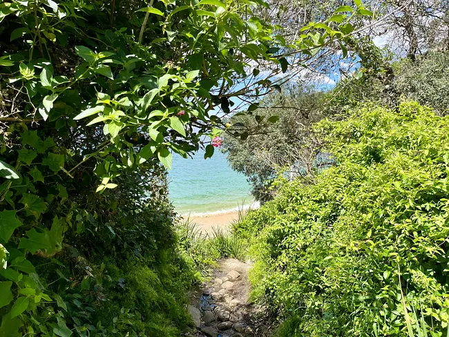 Two Gay Expats - Gay Nude Beaches - Sydney, NSW, Australia - Obelisk Beach - Path