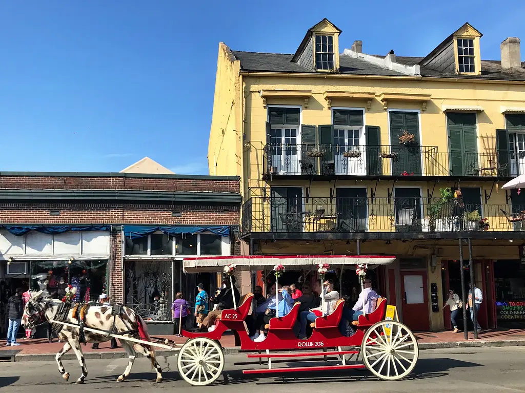 Two Gay Expats - New Orleans, Louisiana, United States - French Quarter - Horse Drawn Carriage Ride
