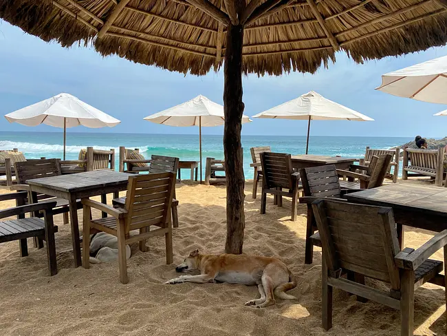 El Alquimista Restaurant - Beachside Dining