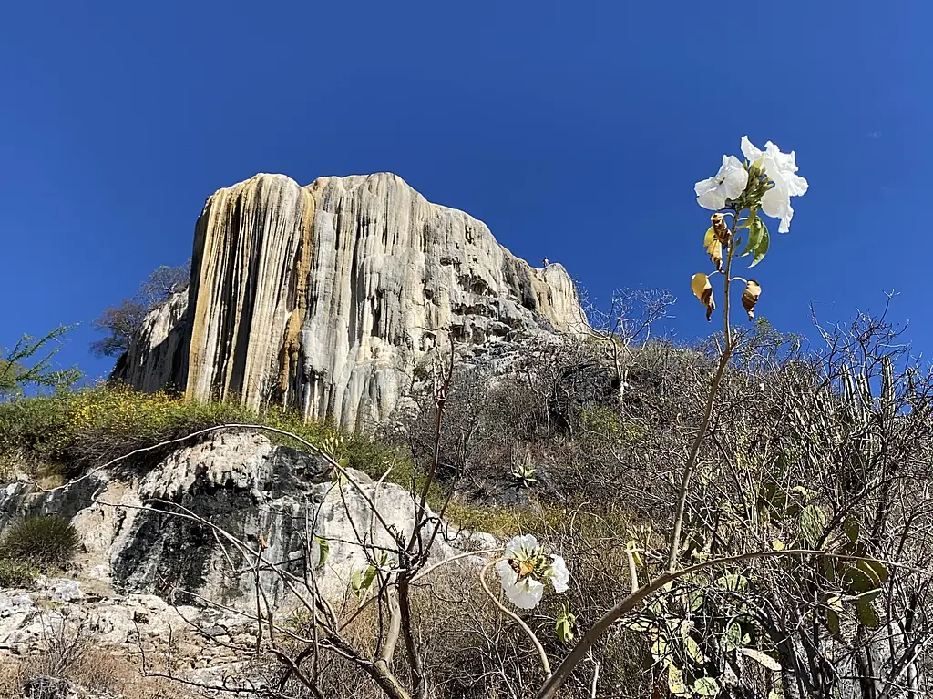 Petrified Waterfalls 