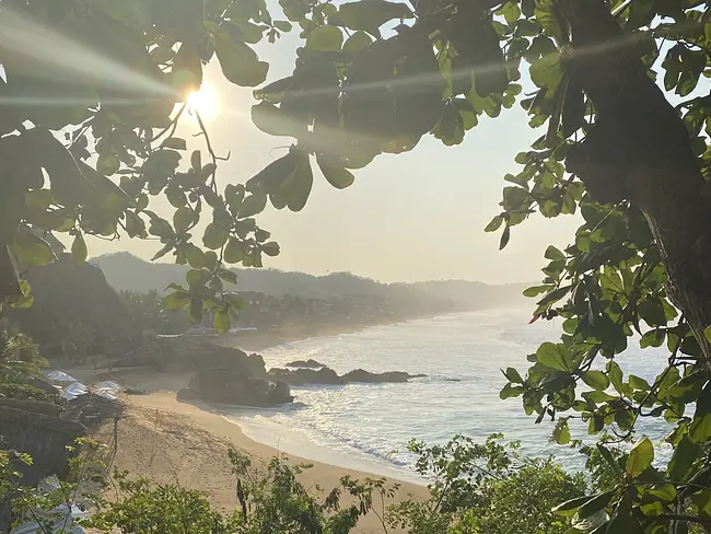 Sunrise at Shambhala - Sun glistening through the tree leaves with beach view