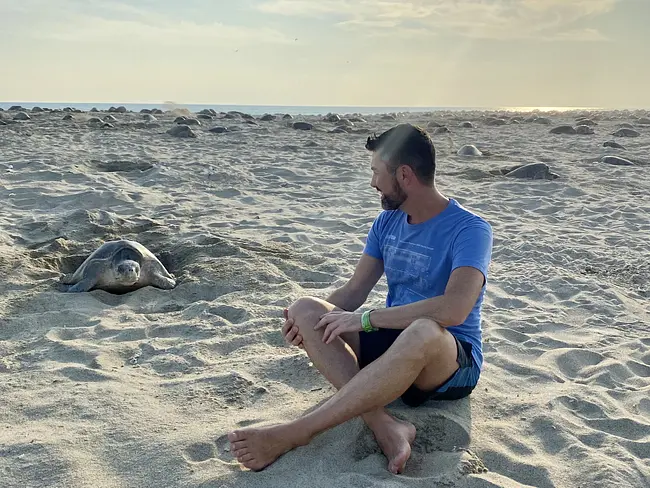 Mass Turtle Arrival - Playa Escobilla
