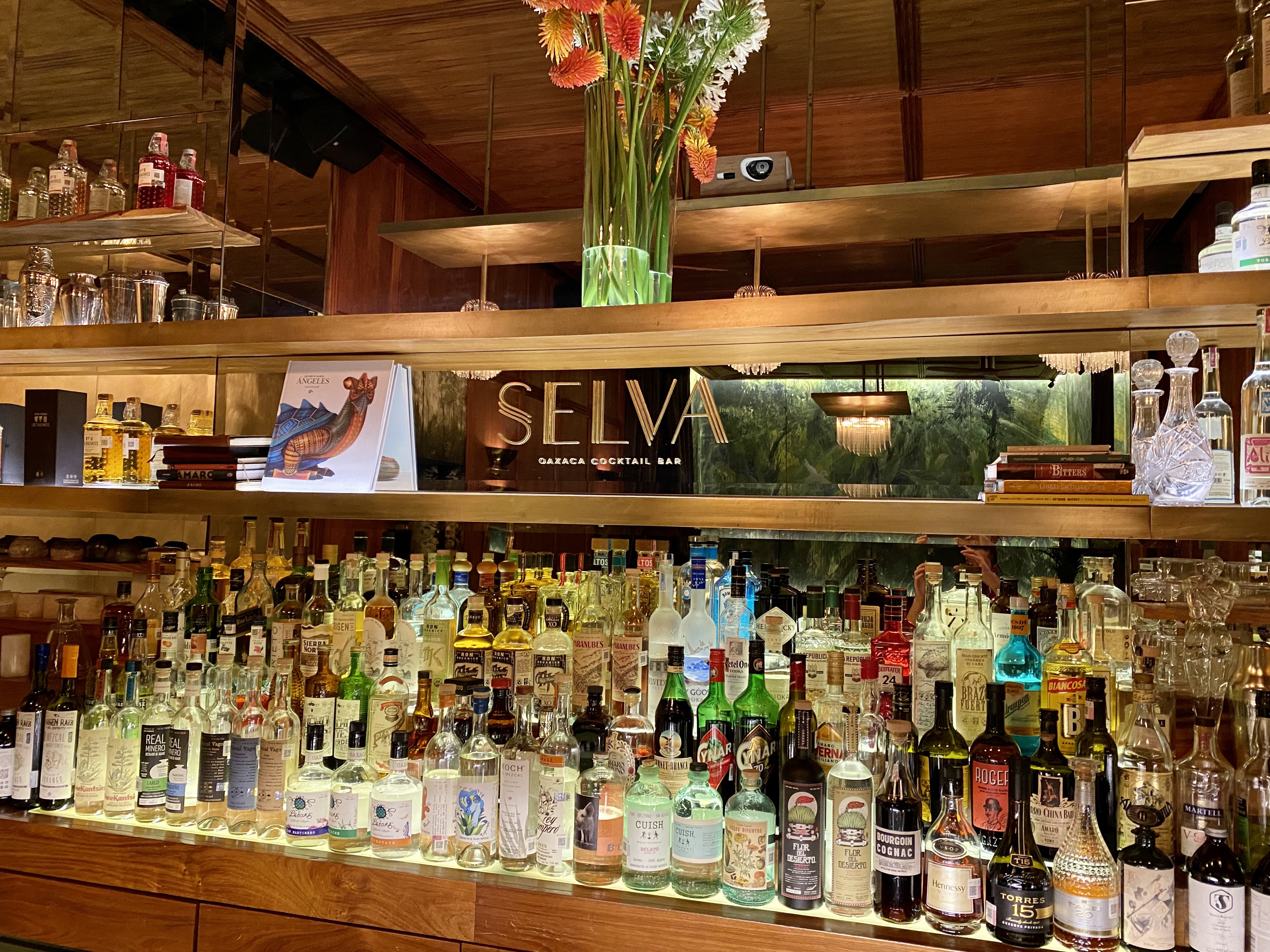 Two Gay Expats - Oaxaca - Selva Cocktail Bar - Cocktail Bar
